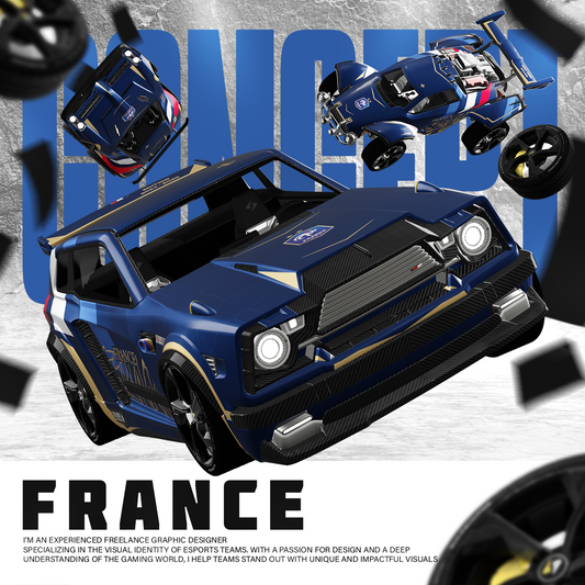 FRANCE Decal Octane/Dominus/Fennec